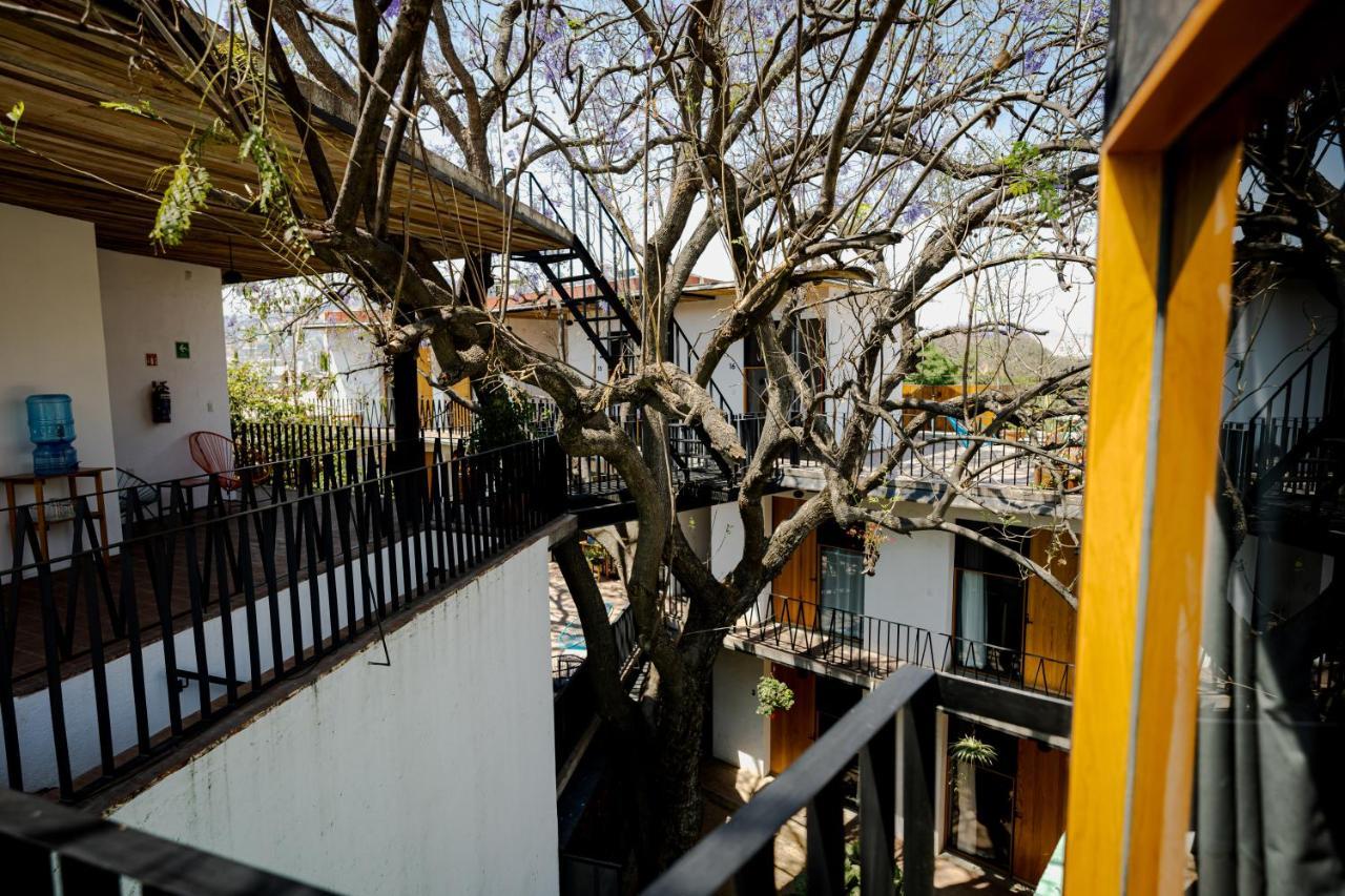 Hotel Con Corazon Oaxaca Dış mekan fotoğraf