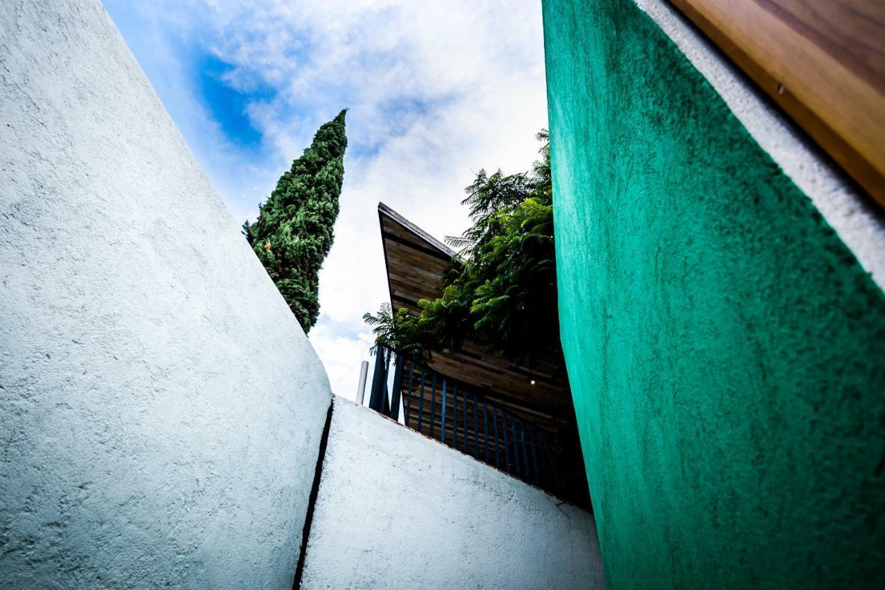 Hotel Con Corazon Oaxaca Dış mekan fotoğraf